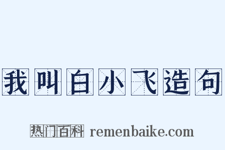 我叫白小飞造句是什么意思的图片
